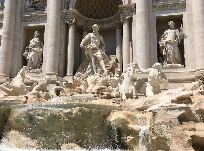 Amata Navona *